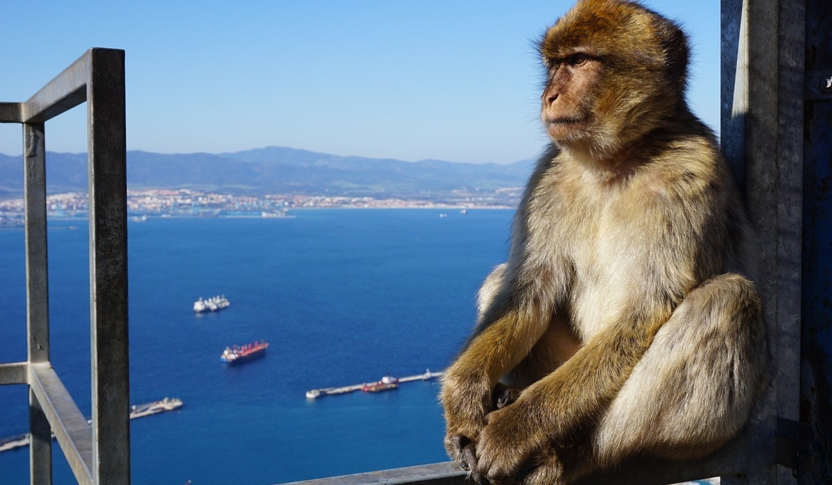 Excursion d'une journée à Gibraltar avec départ d'Armação de Pera